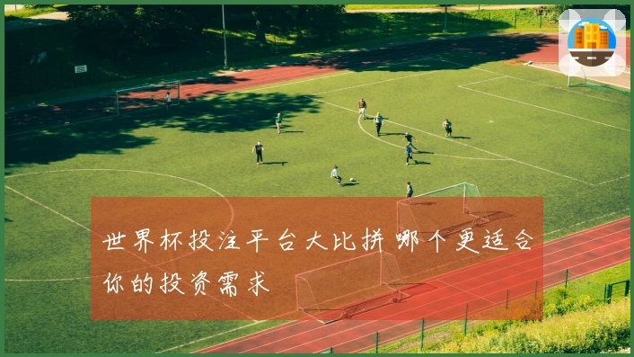 世界杯投注平台大比拼 哪个更适合你的投资需求