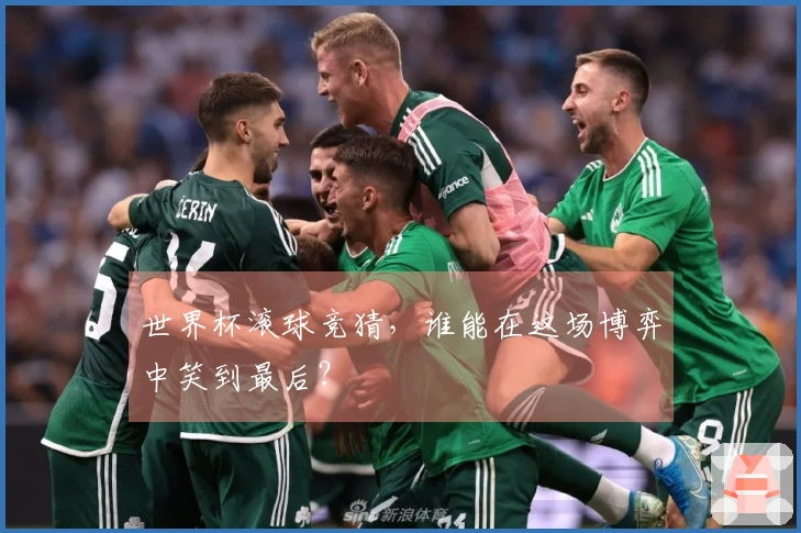 世界杯滚球竞猜，谁能在这场博弈中笑到最后？