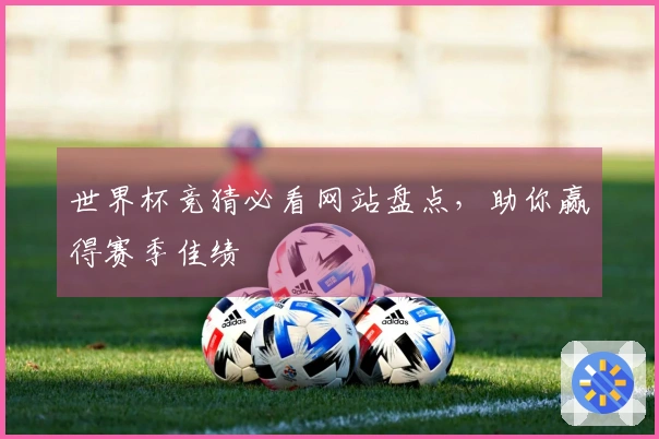 世界杯竞猜必看网站盘点，助你赢得赛季佳绩