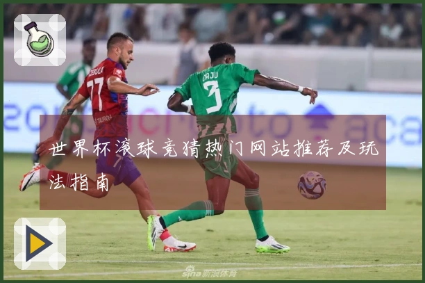 世界杯滚球竞猜热门网站推荐及玩法指南