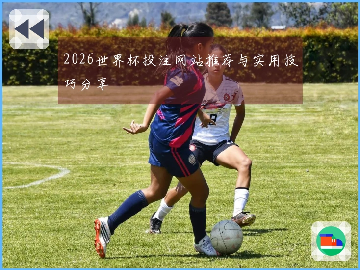 2026世界杯投注网站推荐与实用技巧分享