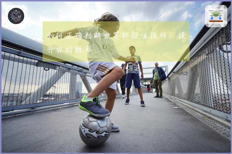 如何正确判断世界杯投注技巧，提升你的胜率