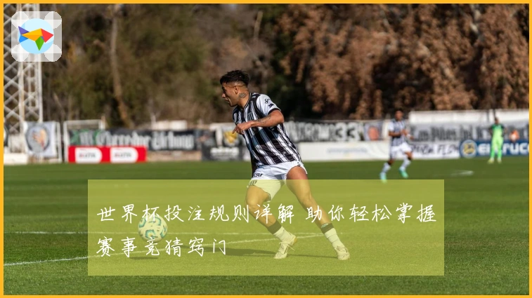 世界杯投注规则详解 助你轻松掌握赛事竞猜窍门