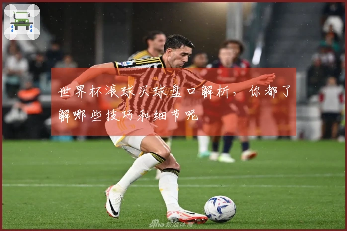 世界杯滚球买球盘口解析，你都了解哪些技巧和细节呢