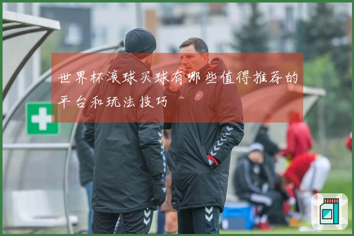 世界杯滚球买球有哪些值得推荐的平台和玩法技巧