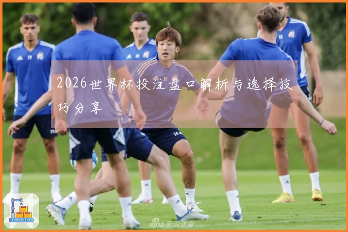 2026世界杯投注盘口解析与选择技巧分享