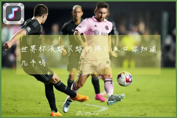 世界杯滚球买球的热门入口你知道几个吗