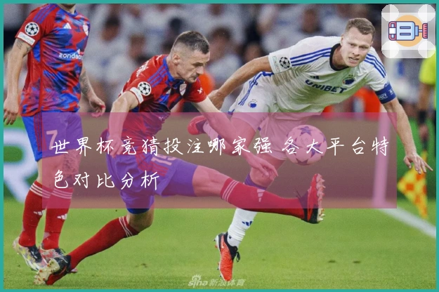 世界杯竞猜投注哪家强 各大平台特色对比分析